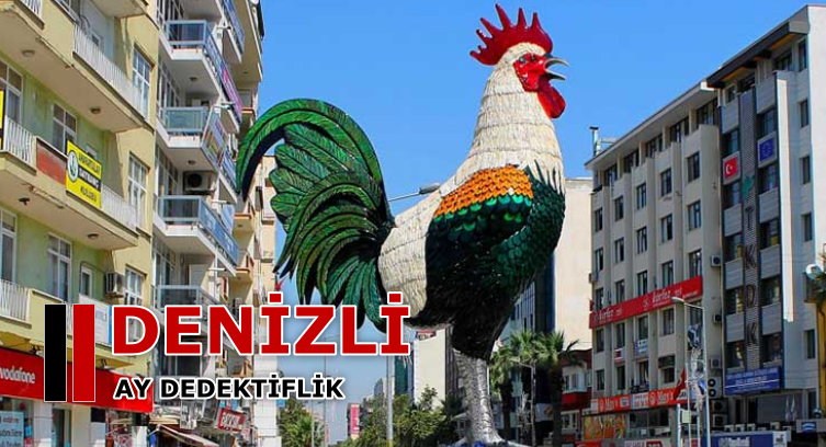 Denizli Dedektiflik Bürosu