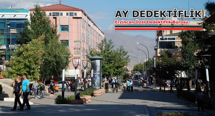 Erzincan Dedektiflik Hizmeti