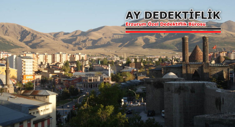 Erzurum Dedektif