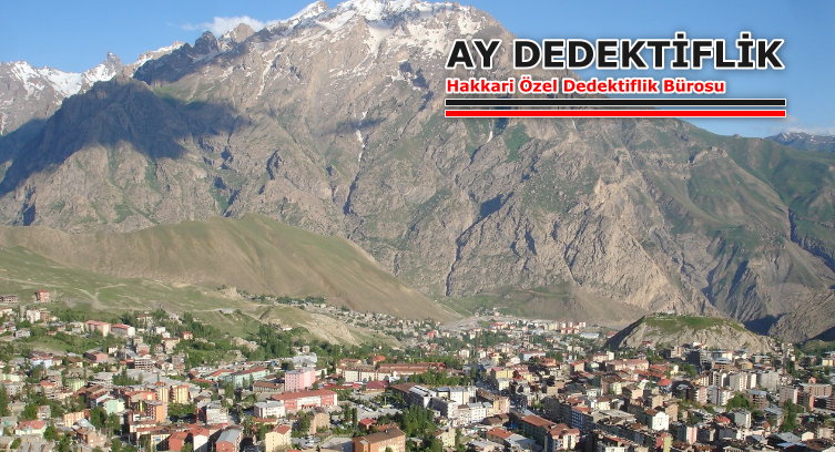 Hakkari Dedektif